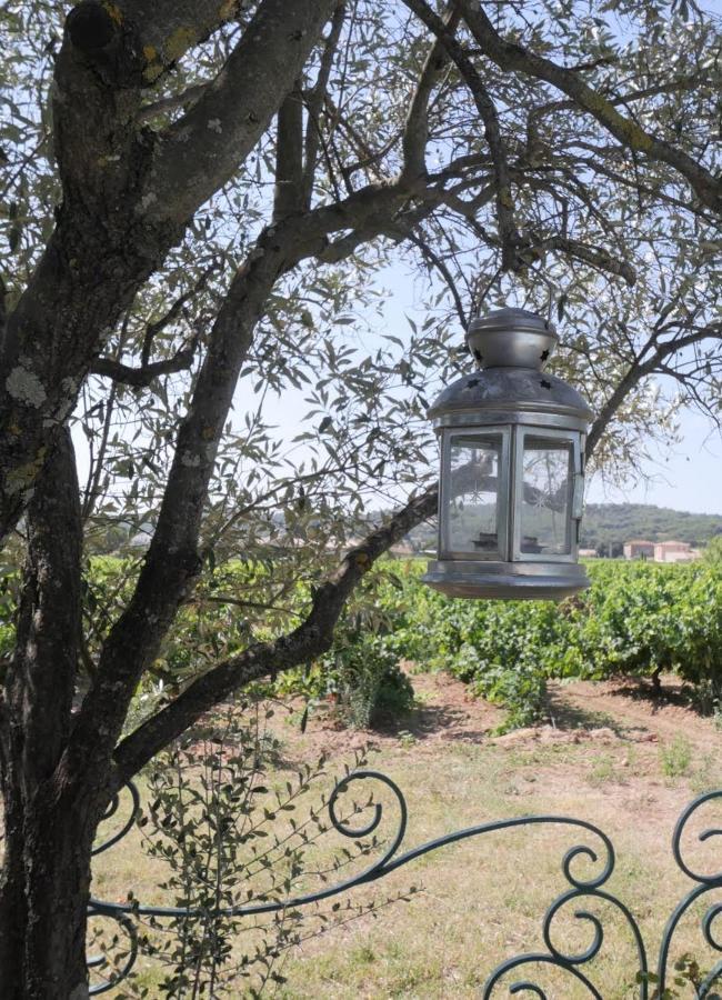 Maison D'Hotes Le Mas Des Vignes Ξενοδοχείο Rochegude  Εξωτερικό φωτογραφία