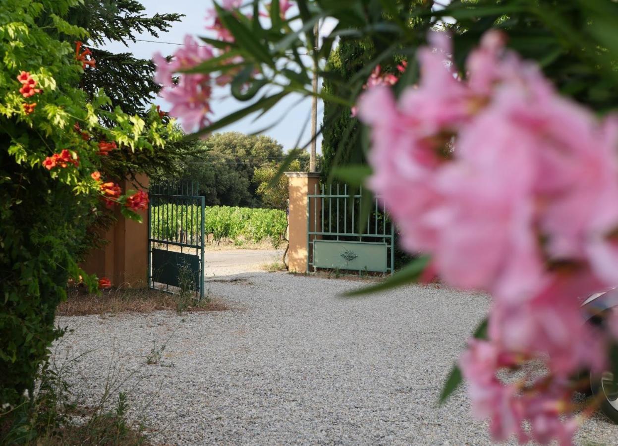 Maison D'Hotes Le Mas Des Vignes Ξενοδοχείο Rochegude  Εξωτερικό φωτογραφία
