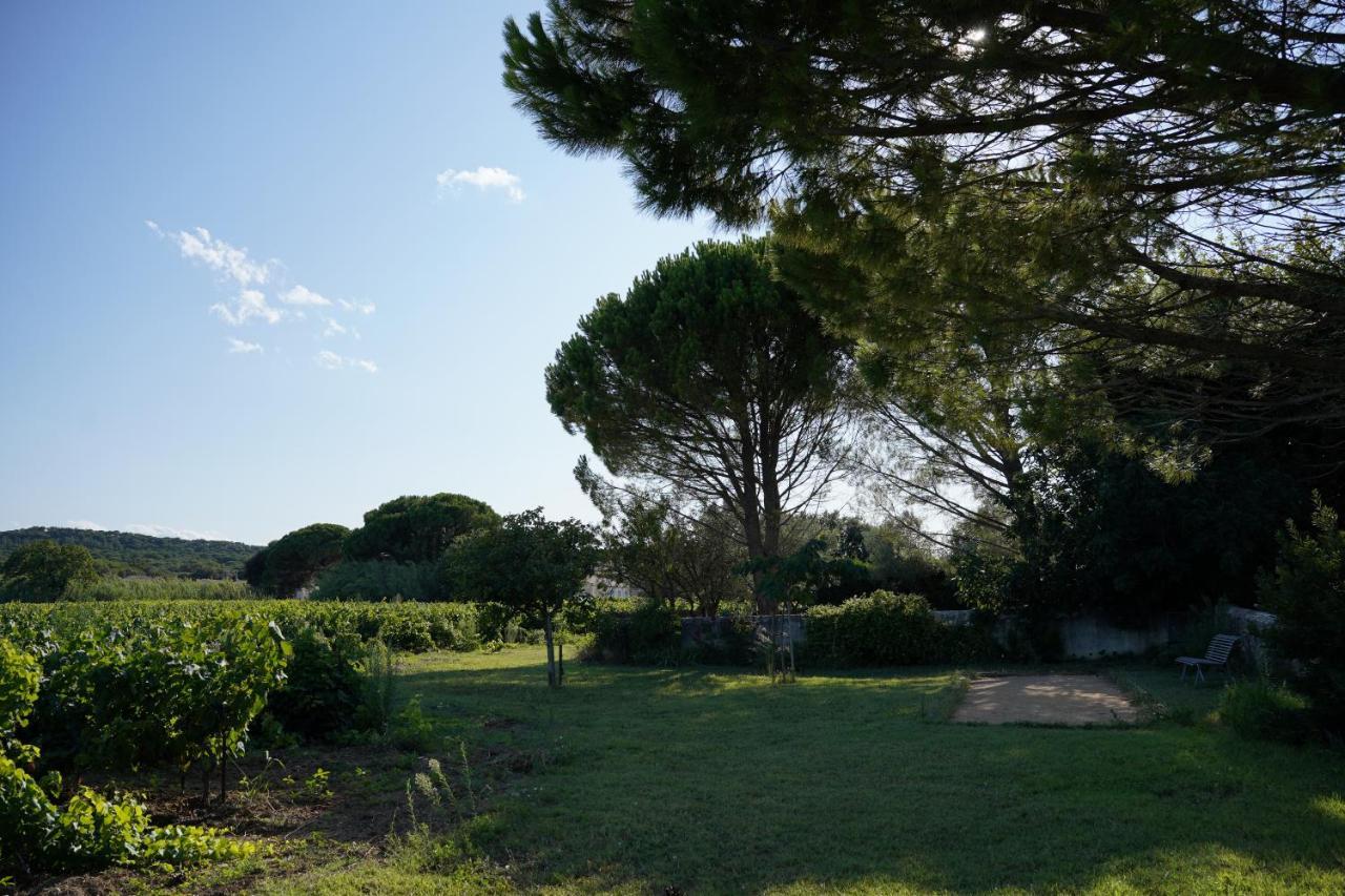 Maison D'Hotes Le Mas Des Vignes Ξενοδοχείο Rochegude  Εξωτερικό φωτογραφία