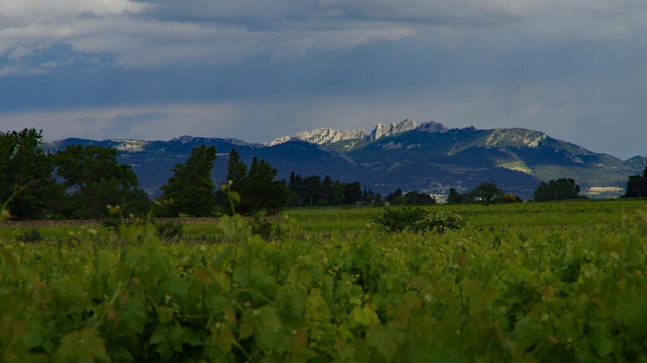 Maison D'Hotes Le Mas Des Vignes Ξενοδοχείο Rochegude  Εξωτερικό φωτογραφία